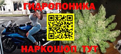 PSILOCYBIN Краснодар