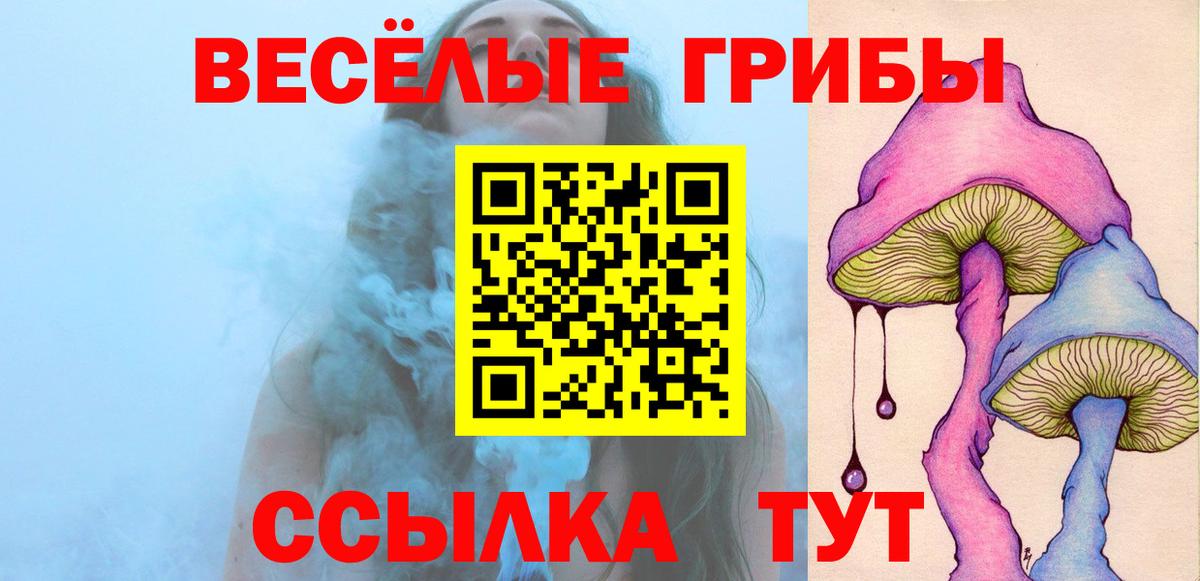 Псилоцибиновые грибы Cubensis Киселёвск