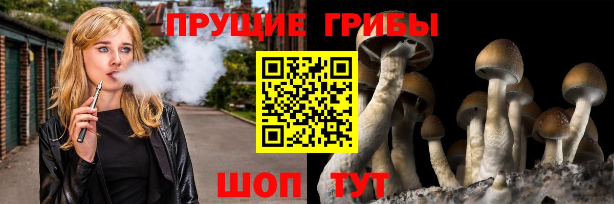 Кодеин Киселёвск