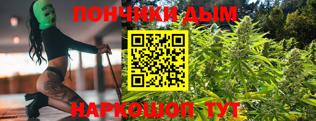 Шишки марихуана план Киселёвск